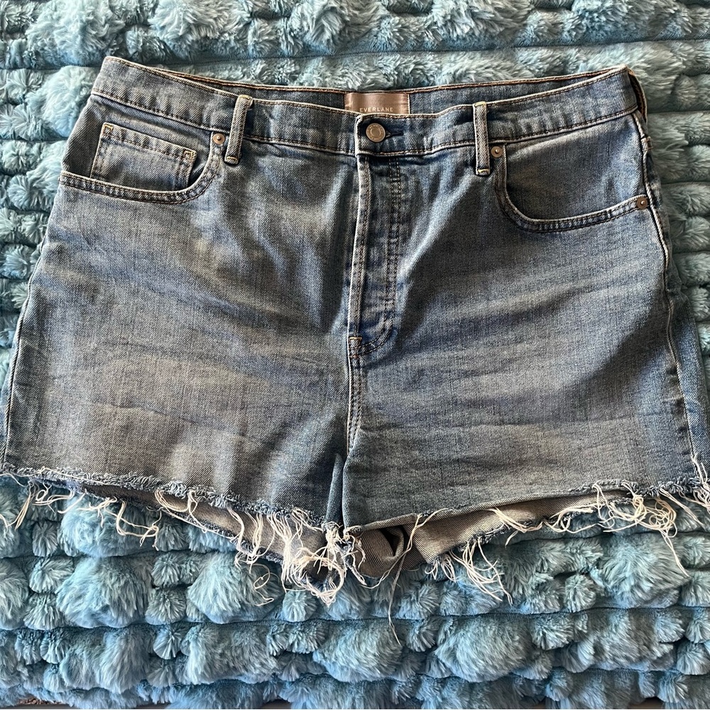 everlane cheeky short